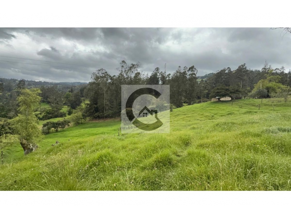 COD: VTLT1450067 -- Lote en venta en Jenesano - 6