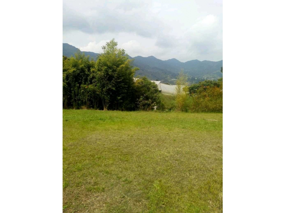 CON NACIMIENTO DE AGUA. Lote en el Carmen de Viboral- Vereda la Chapa