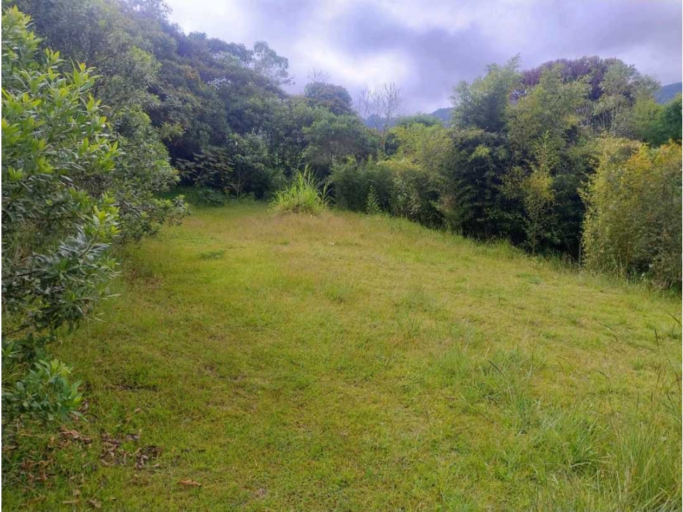 CON NACIMIENTO DE AGUA. Lote en el Carmen de Viboral- Vereda la Chapa — foto 3