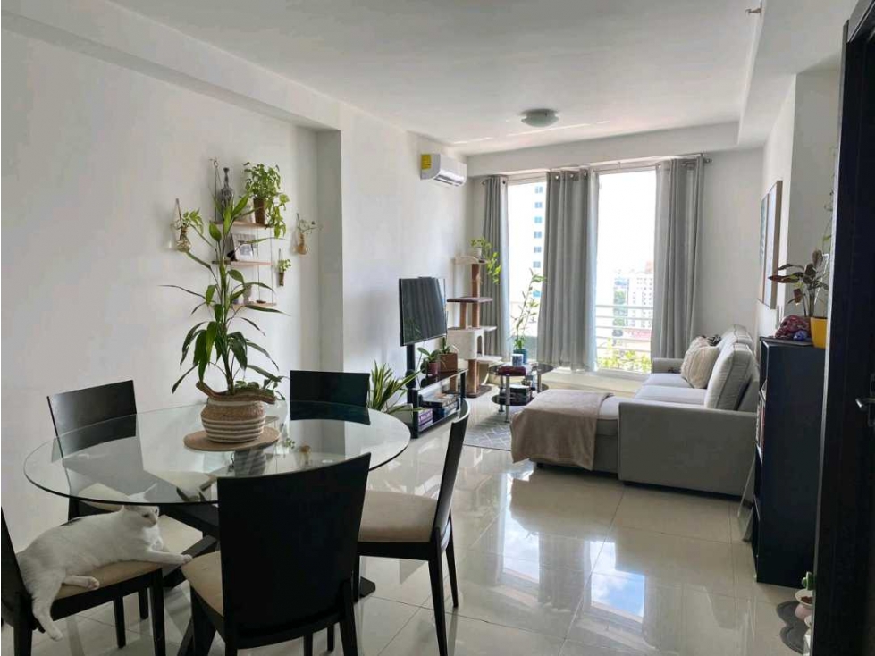 Apartamento Amoblado en Alquiler en Carrasquilla | Ph Taurus Tower