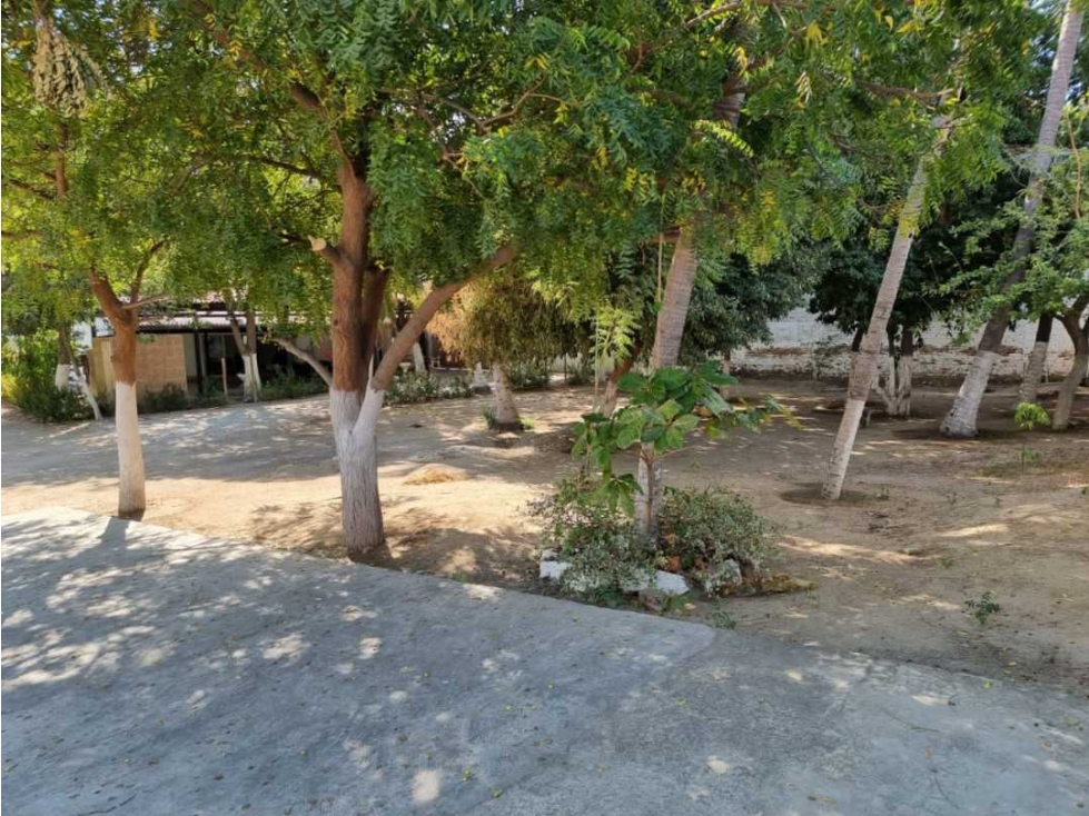 Cabaña con Amplio terreno Cerca al Mar de Playa Salguero - 005 — foto 5