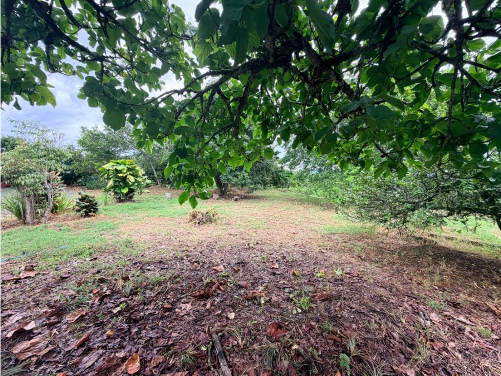 LOTE EN PARCELACIÓN VÍA ALCALÁ A 25 MINUTOS DE CUBA