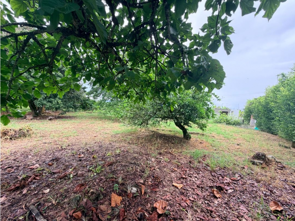 LOTE EN PARCELACIÓN VÍA ALCALÁ A 25 MINUTOS DE CUBA — foto 4