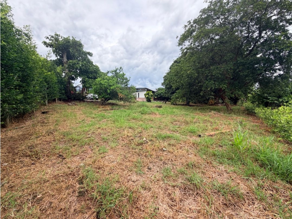 LOTE EN PARCELACIÓN VÍA ALCALÁ A 25 MINUTOS DE CUBA — foto 5