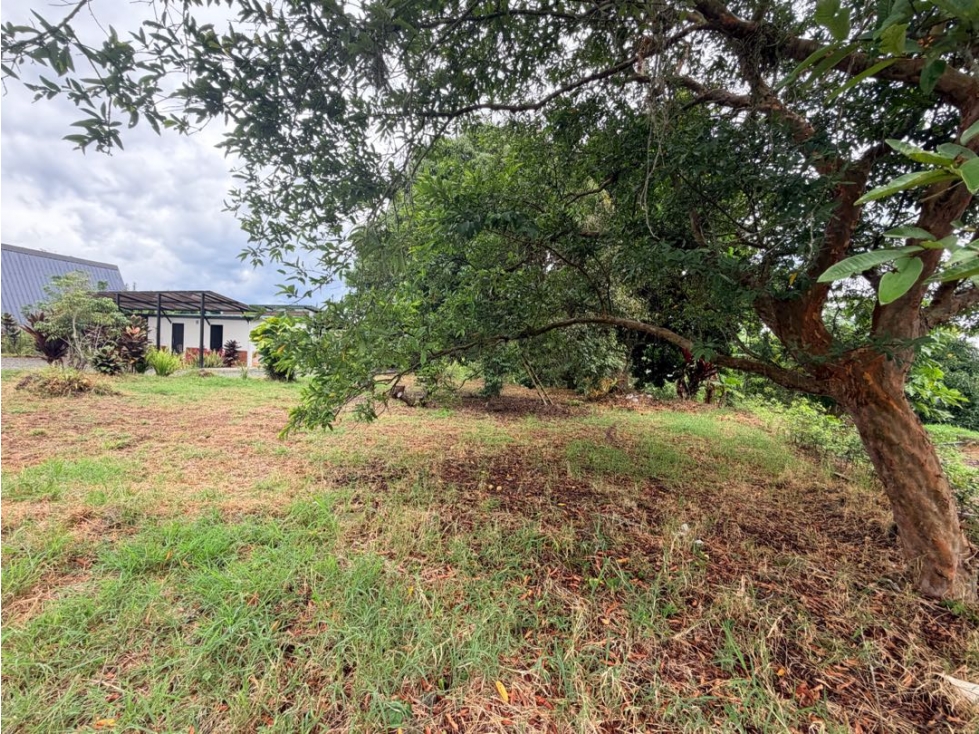 LOTE EN PARCELACIÓN VÍA ALCALÁ A 25 MINUTOS DE CUBA — foto 6