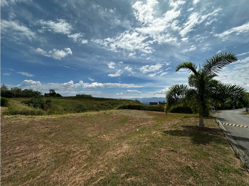 Lote en venta cerritos Entrada 4 La Carmelita - 1
