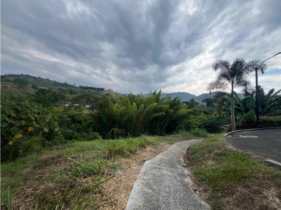 Lote Conjunto Cerrado Vía Manizales Chinchina — foto 5