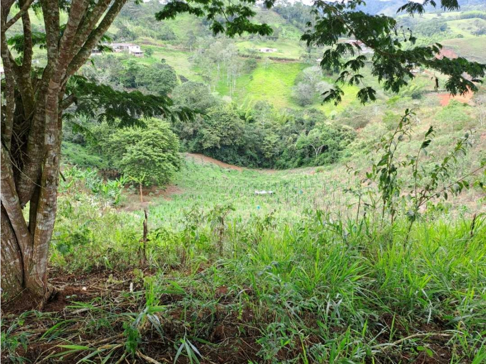 VENTA DE LOTE EN LOMITAS CUMBRE VALLE - 1