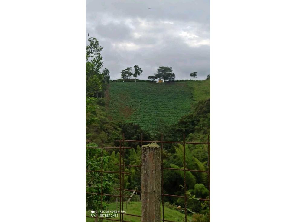 VENTA DE LOTE EN LOMITAS CUMBRE VALLE - 2