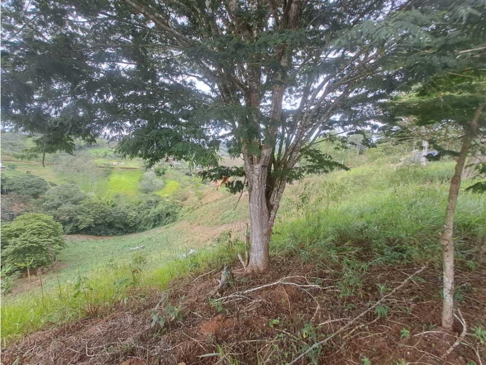 VENTA DE LOTE EN LOMITAS CUMBRE VALLE - 3