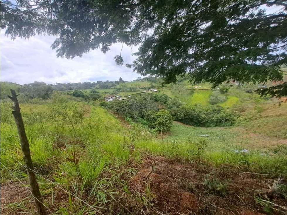 VENTA DE LOTE EN LOMITAS CUMBRE VALLE - 4