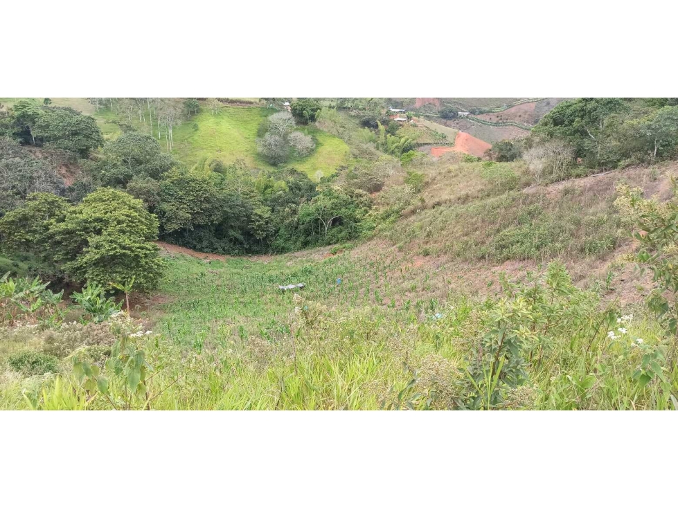 VENTA DE LOTE EN LOMITAS CUMBRE VALLE - 5