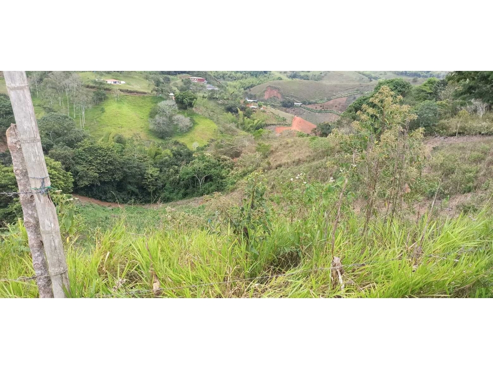VENTA DE LOTE EN LOMITAS CUMBRE VALLE - 6