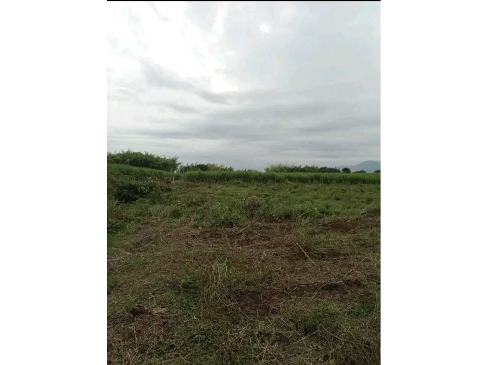 VENTA LOTE EN CALOTO VDA LA ARROBLEDA - 2