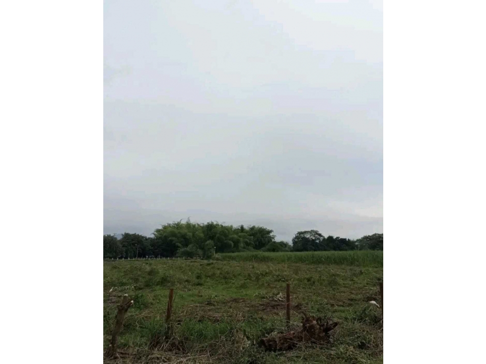 VENTA LOTE EN CALOTO VDA LA ARROBLEDA - 3