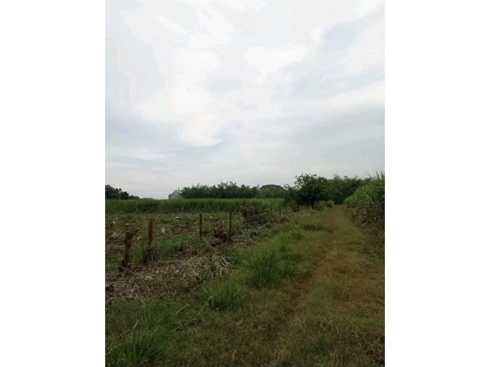 VENTA LOTE EN CALOTO VDA LA ARROBLEDA - 4