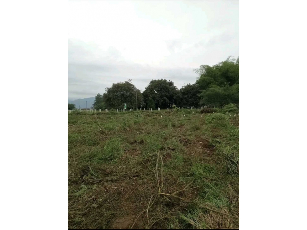 VENTA LOTE EN CALOTO VDA LA ARROBLEDA - 5