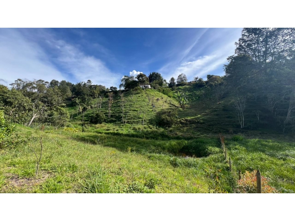 Venta lote 2.646 m² con vista a montaña y bosque en San Antoni — foto 3
