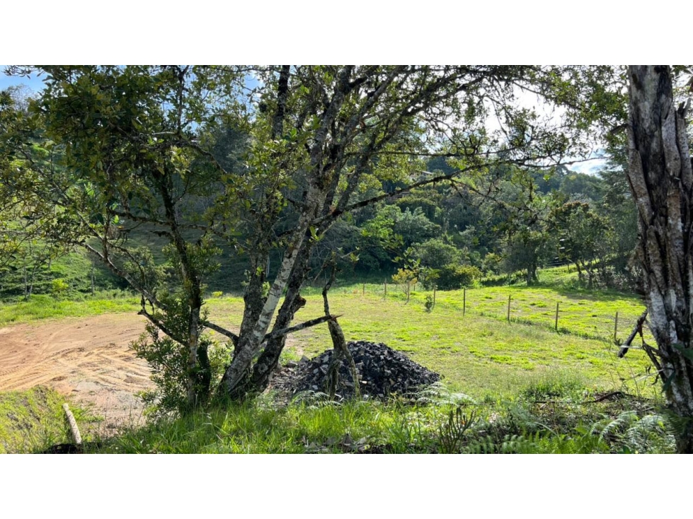 Venta lote 2.646 m² con vista a montaña y bosque en San Antoni — foto 4