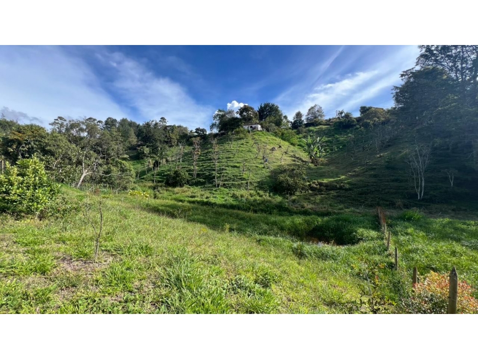 Venta lote 2.646 m² con vista a montaña y bosque en San Antoni — foto 5