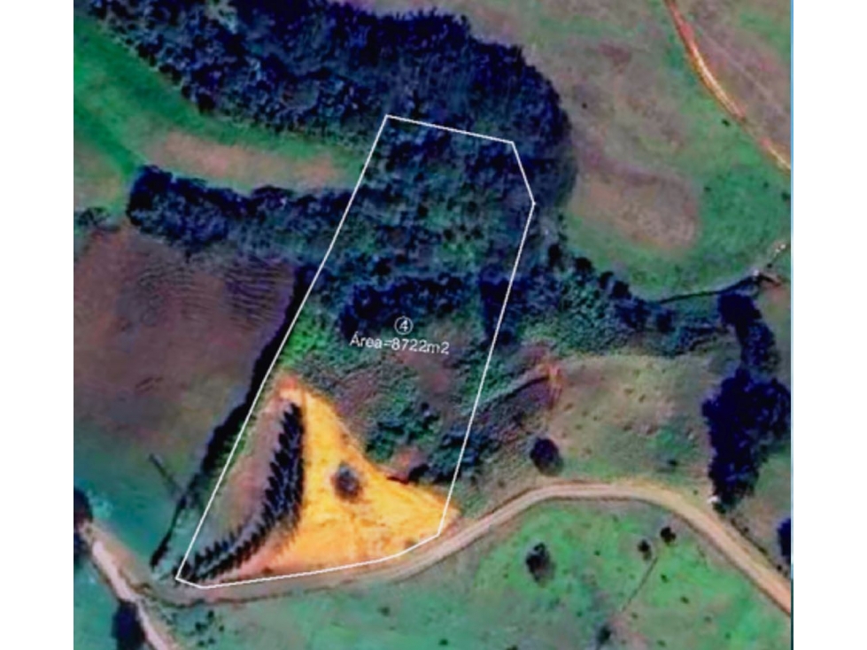 Venta lote en Rionegro de 8.722 m² con explanación y bosque - 2