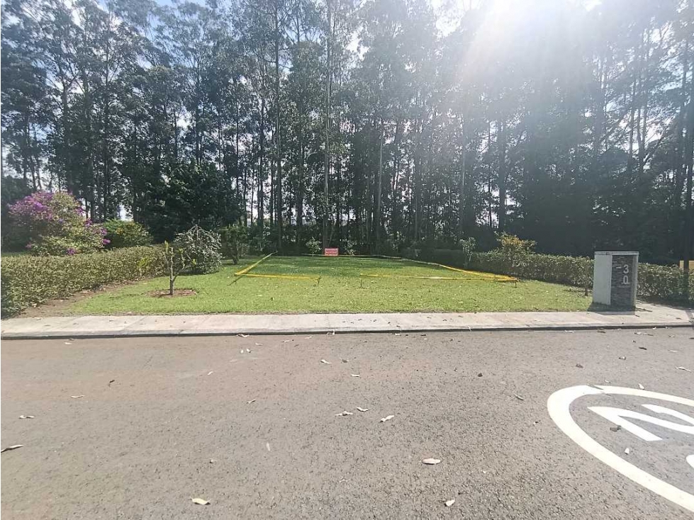VENDEMOS LOTE DE 342M2 EN UNIDAD CERRADA CON BOSQUE PRIVADO POSTERIOR — foto 4