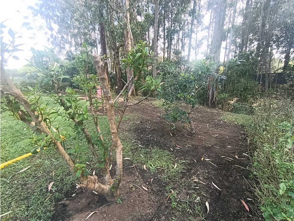 VENDEMOS LOTE DE 342M2 EN UNIDAD CERRADA CON BOSQUE PRIVADO POSTERIOR — foto 6