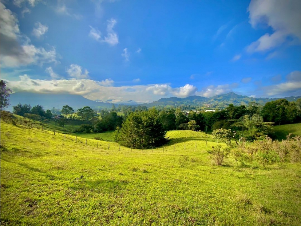 Venta Lote Independiente Llanogrande Sector Cabeceras