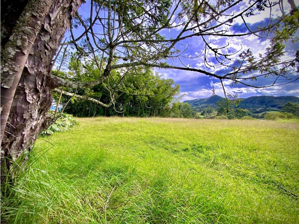 Venta Lote Plano con Vista Arboles Parcelacion Via San Antonio La Ceja — foto 2