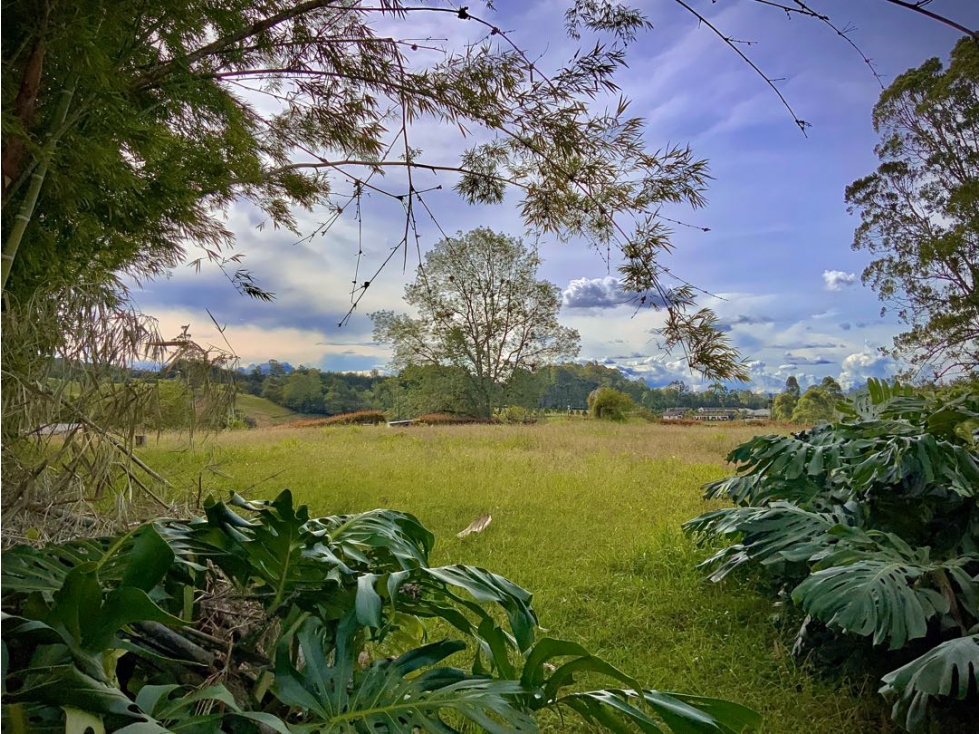 Venta Lote Plano con Vista Arboles Parcelacion Via San Antonio La Ceja — foto 3