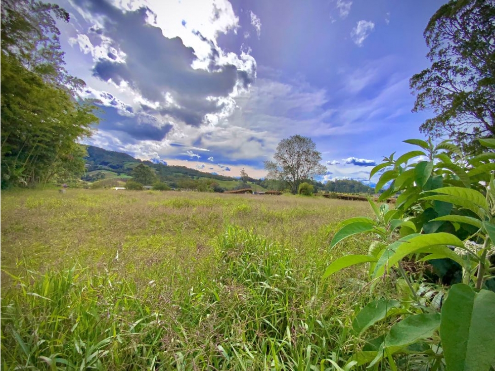 Venta Lote Plano con Vista Arboles Parcelacion Via San Antonio La Ceja — foto 5