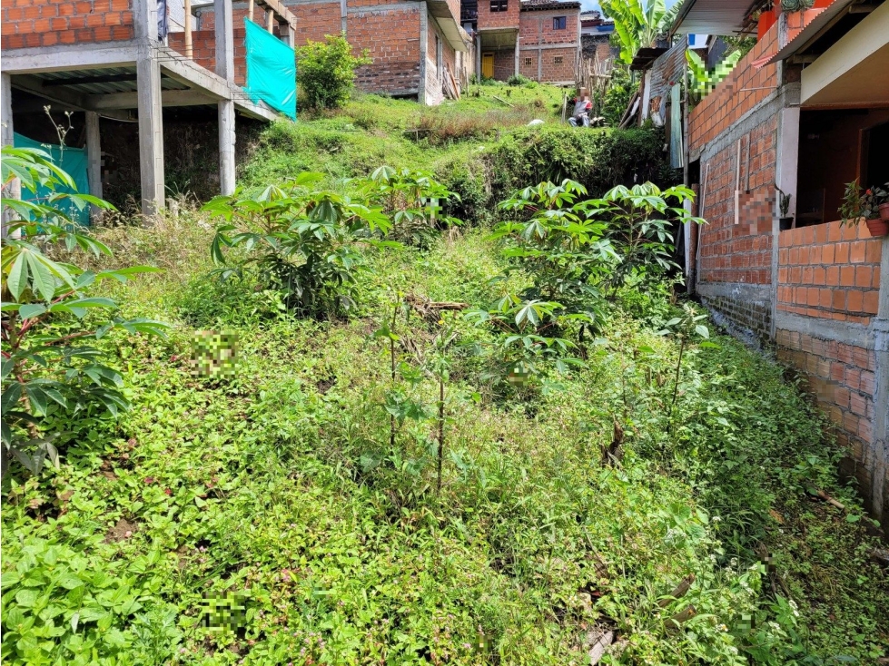 CR 6 4 50 — foto 2