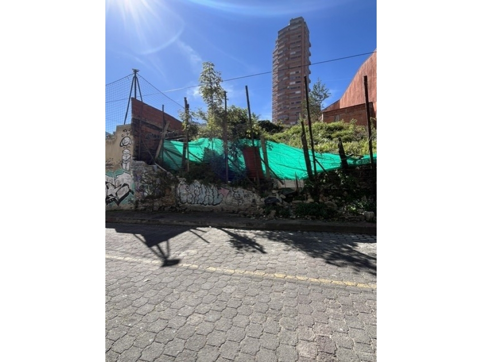 CS CR 6 27 24 — foto 2