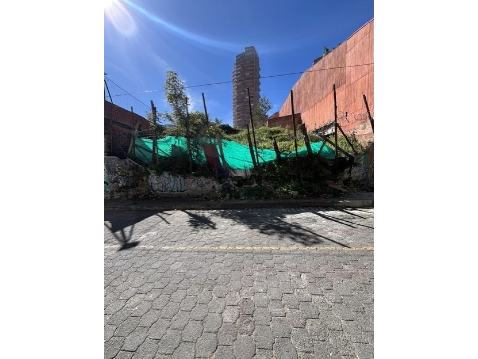 CS CR 6 27 24 — foto 3
