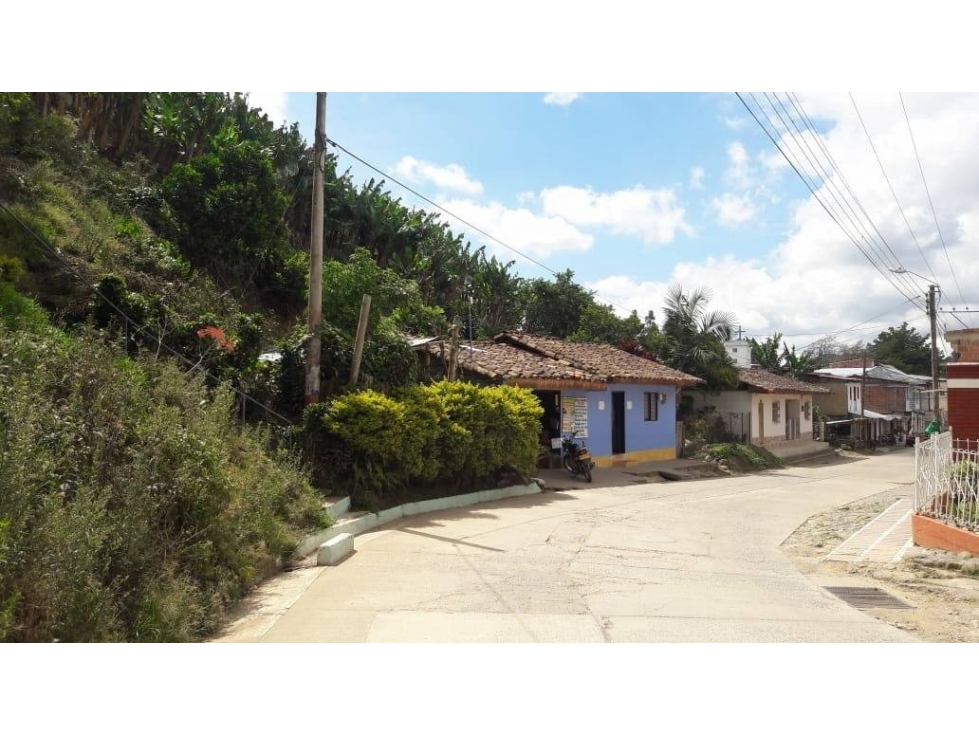 CS VEREDA LA TULIA