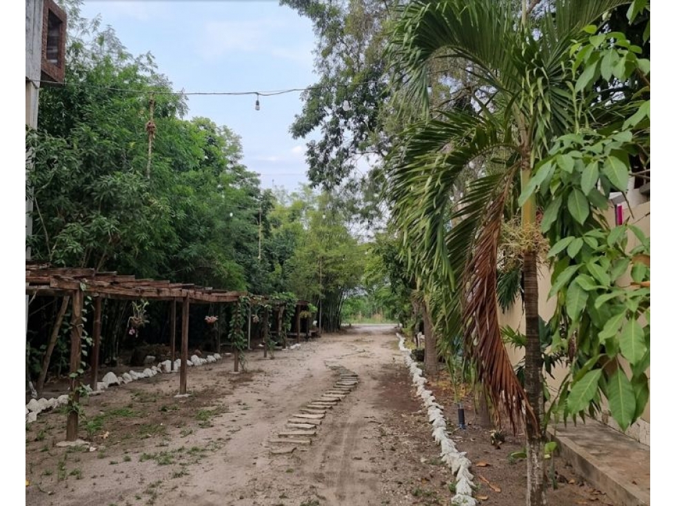 Derechos Fiduciarios en Terreno con alta eficiencia legal en Tulum — foto 2