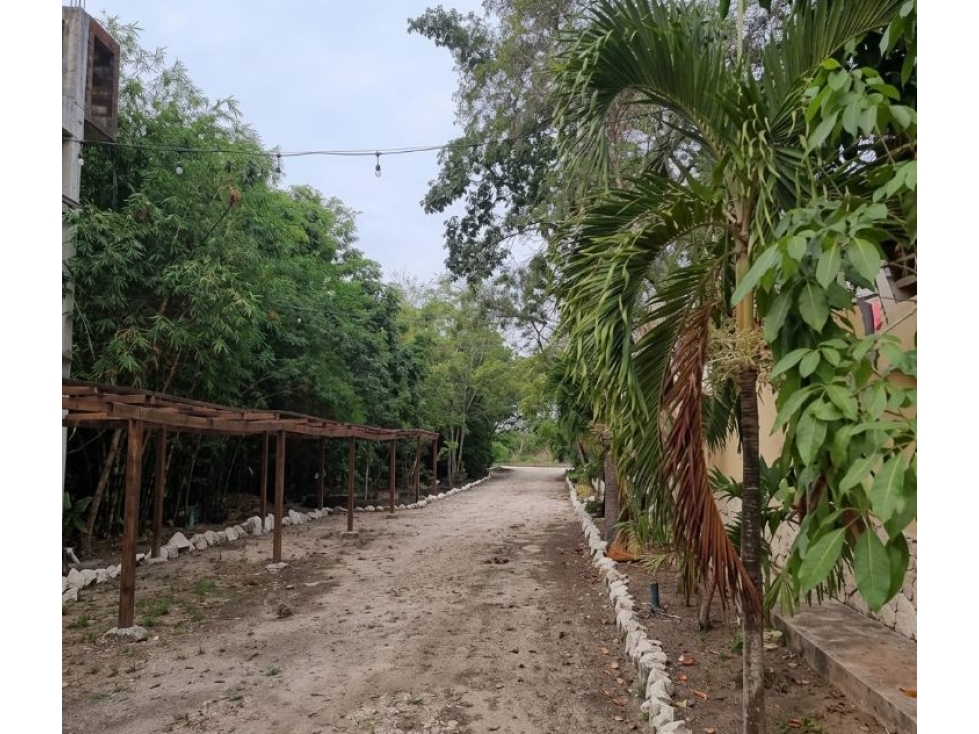 Derechos Fiduciarios en Terreno con alta eficiencia legal en Tulum — foto 5