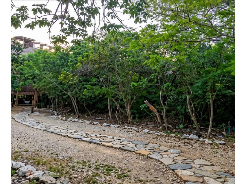 Derechos Fiduciarios en Terreno con alta eficiencia legal en Tulum — foto 6