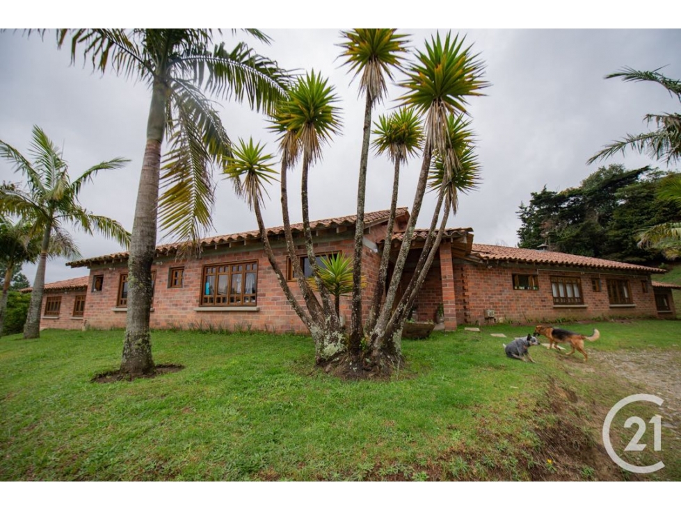 Dos casas independientes en mismo lote de Loma del Escobero Alto (*) — foto 4