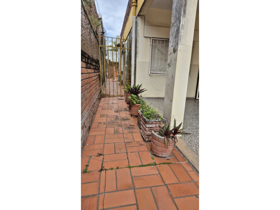 Casa céntrica de 4 dormitorios con gran terraza - 6