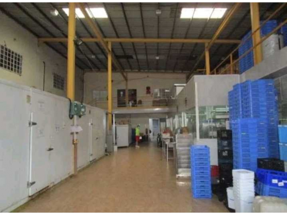 EDIFICIO COMERCIAL EN PANAMÁ OESTE ARRAIJAN 1394M2 VIA INTERAMERICANA - 5