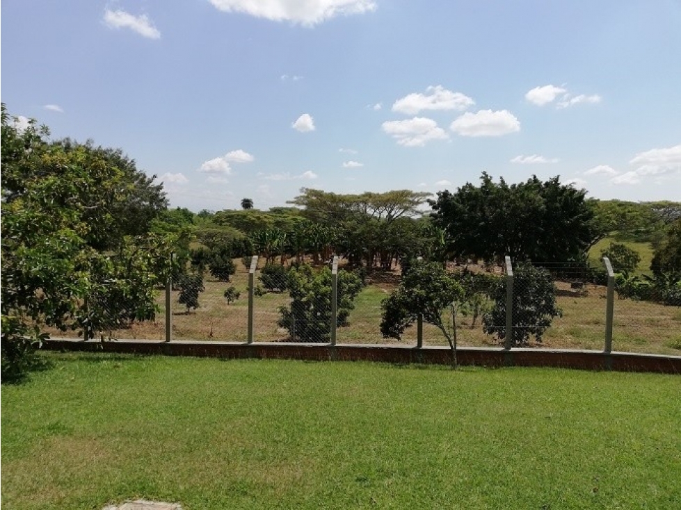 EL DANUBIO LT 4 — foto 3