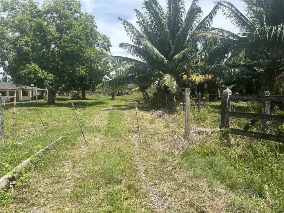 EL EDEN - 2