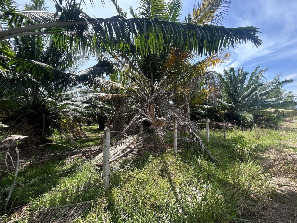 EL EDEN - 3
