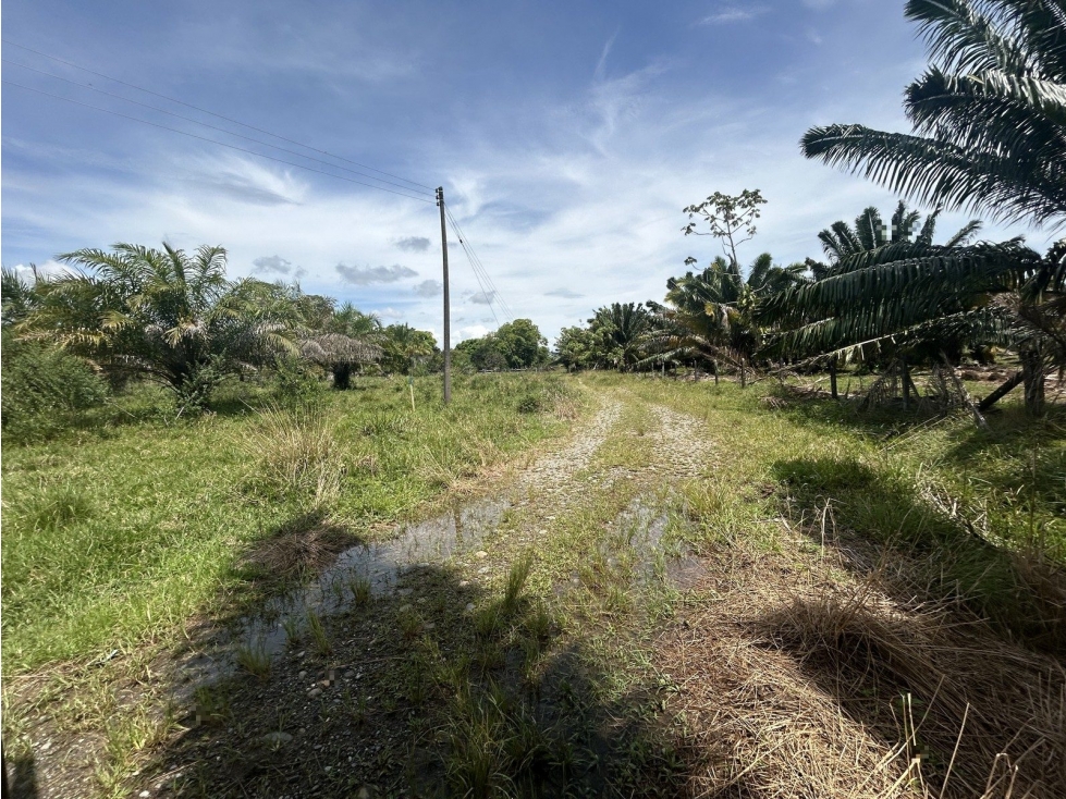 EL EDEN - 4