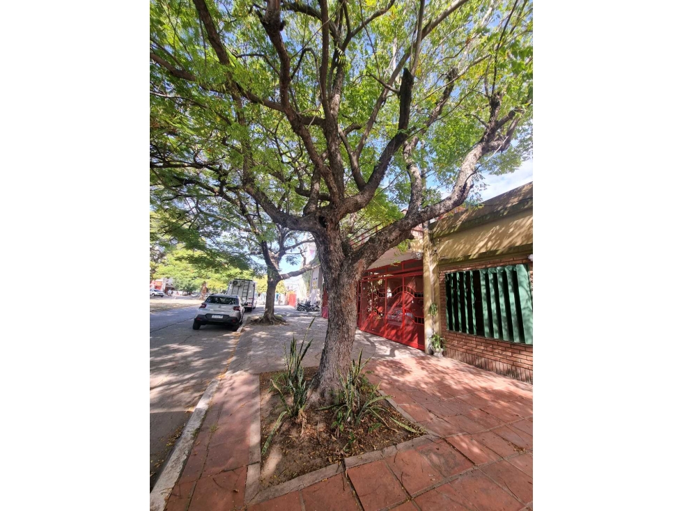 Casa y galpón sobre Av. Belgrano! - 5