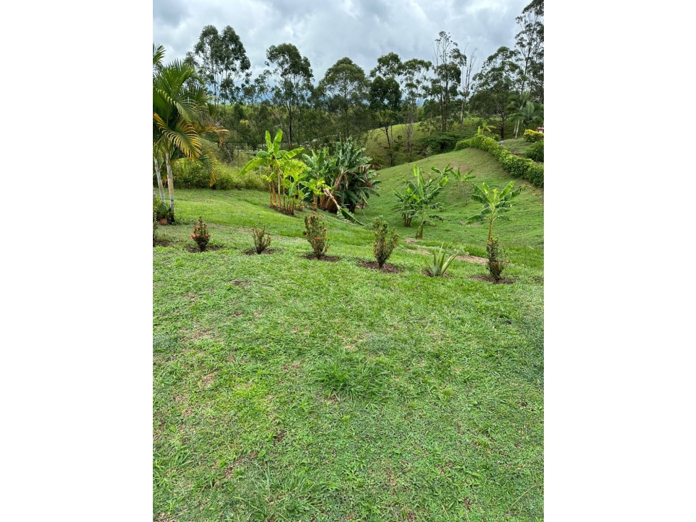 En Venta Casa Campestre Cerritos Pereira — foto 4