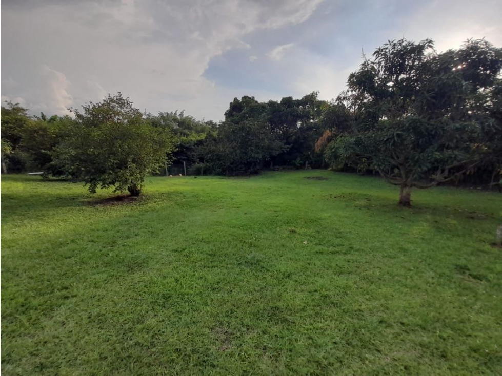 EN VENTA CASA CAMPESTRE VÍA PEREIRA - ARMENIA — foto 6