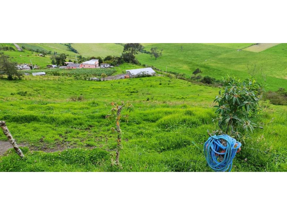 En venta Casa de Campo con Tres Hectarias de Terreno en Otavalo. - 4