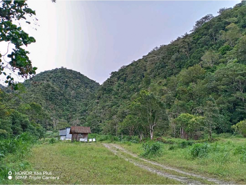 En venta espectacular finca de 280 hectáreas en El Tisingal, Volcán - 2